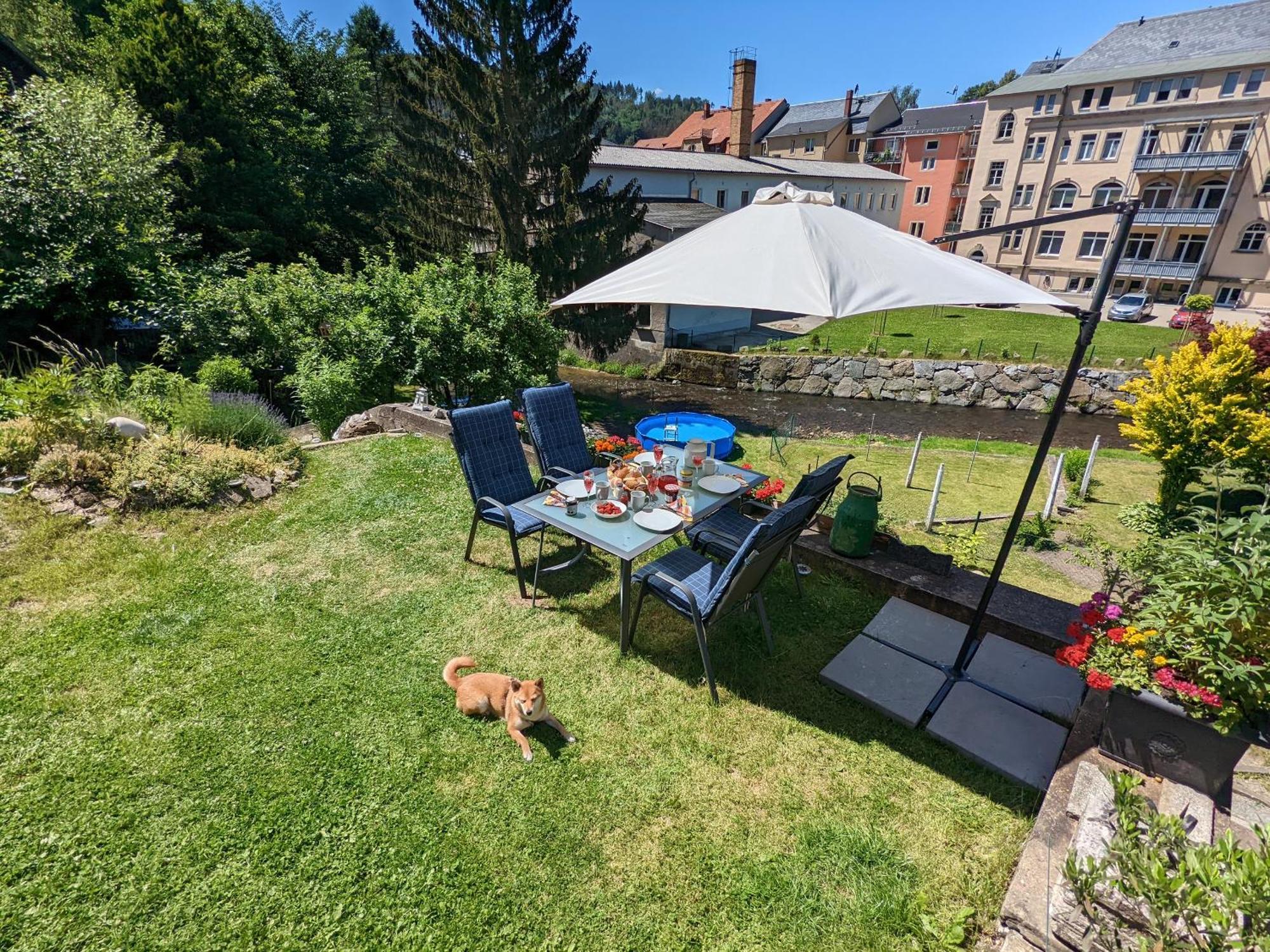 Hw4B - Urlaubsmagie - Zentral Mit Gemeinschaftsgarten, -Pool, -Sauna & Whirlpool Sebnitz Exterior photo