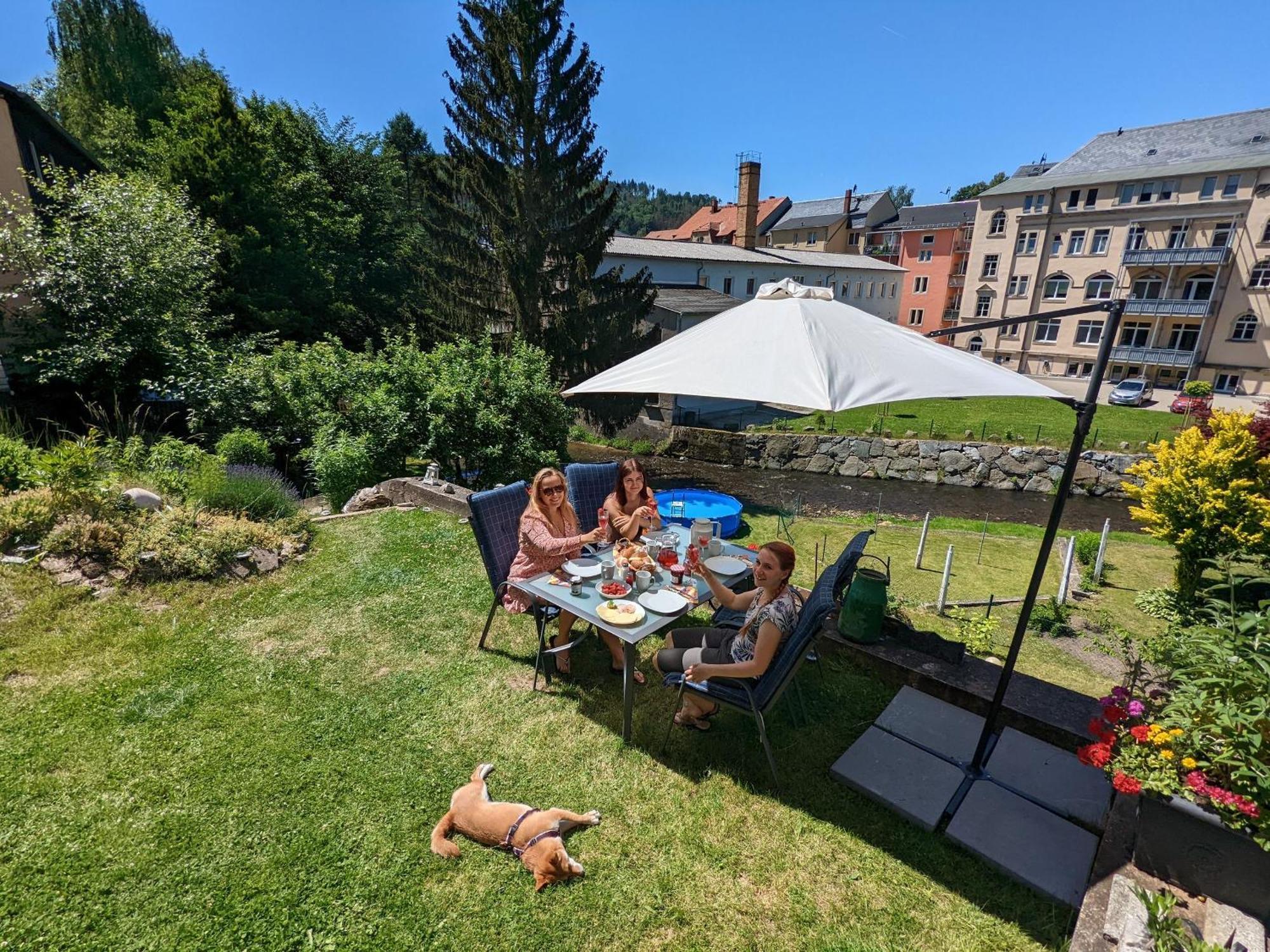 Hw4B - Urlaubsmagie - Zentral Mit Gemeinschaftsgarten, -Pool, -Sauna & Whirlpool Sebnitz Exterior photo