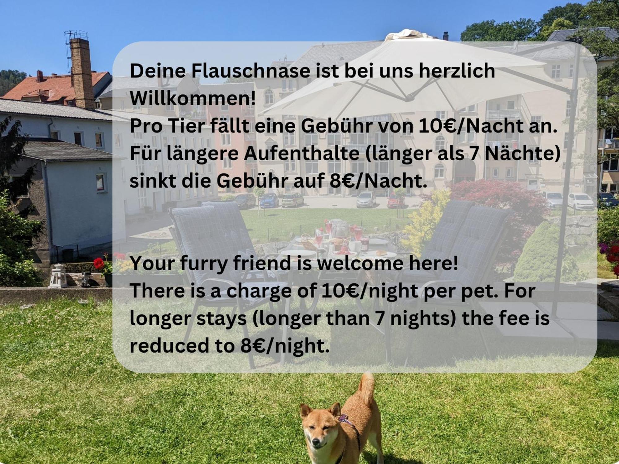 Hw4B - Urlaubsmagie - Zentral Mit Gemeinschaftsgarten, -Pool, -Sauna & Whirlpool Sebnitz Exterior photo